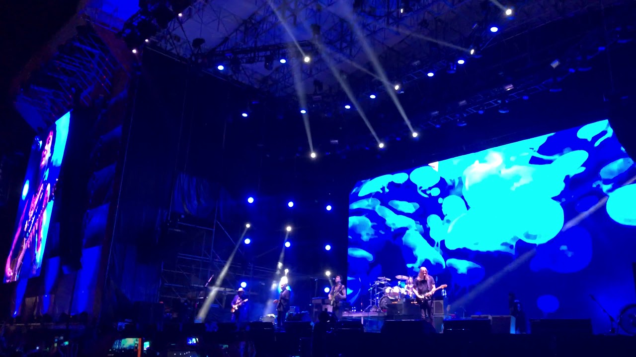 Fin - Jaguares (en vivo machafest 2019)