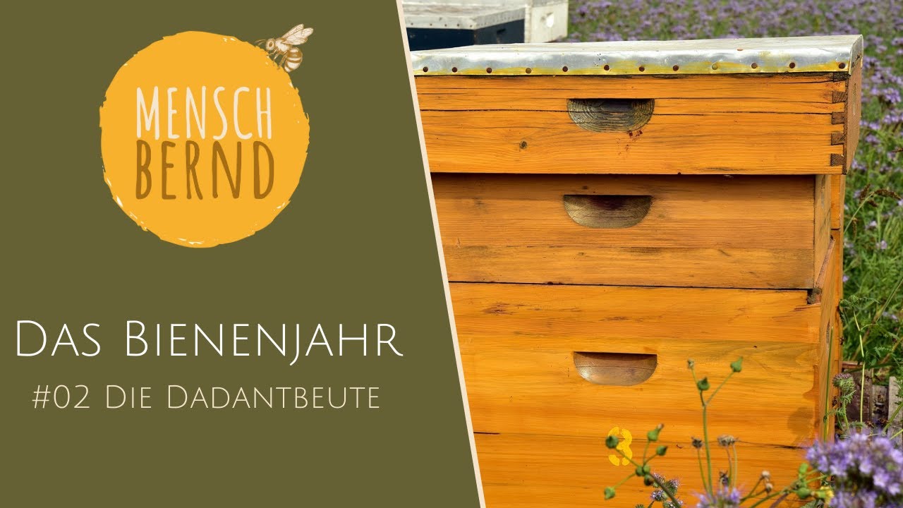 The Beekeeping Year with Bernd #2 The Dadant Hive