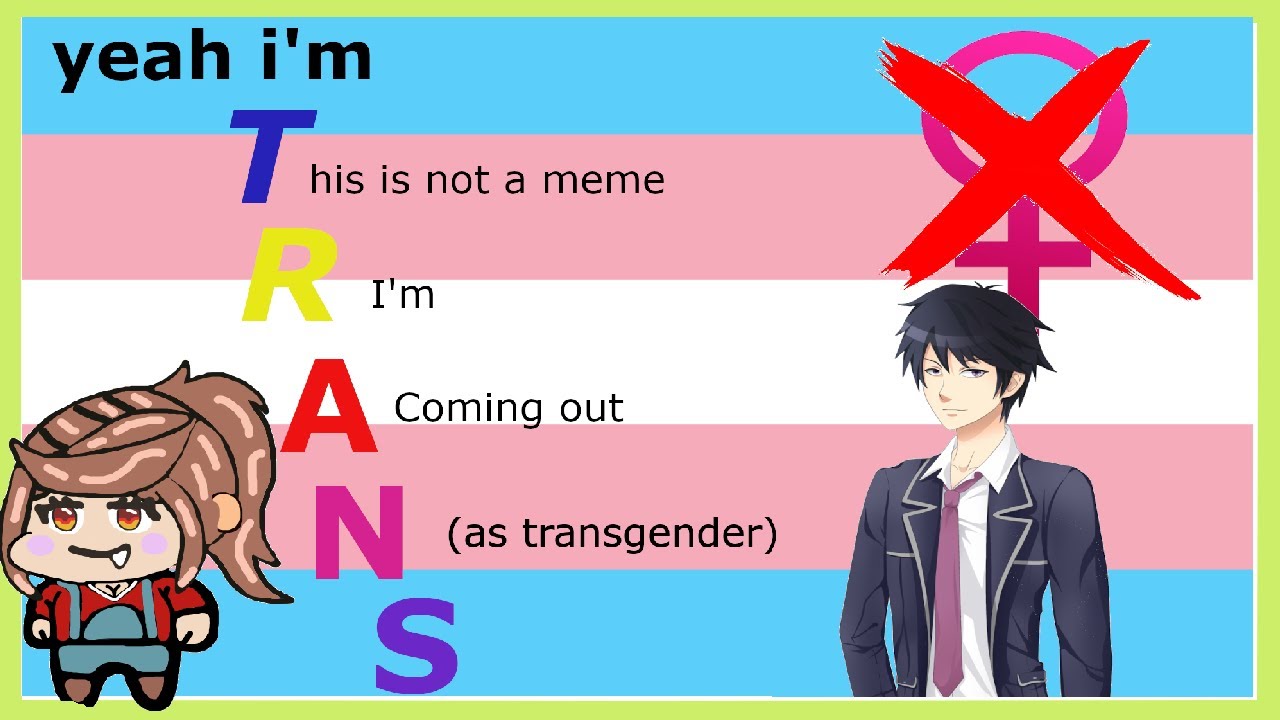 Doing Some TRANS MEME Readings Today -I- Stump VTuber
