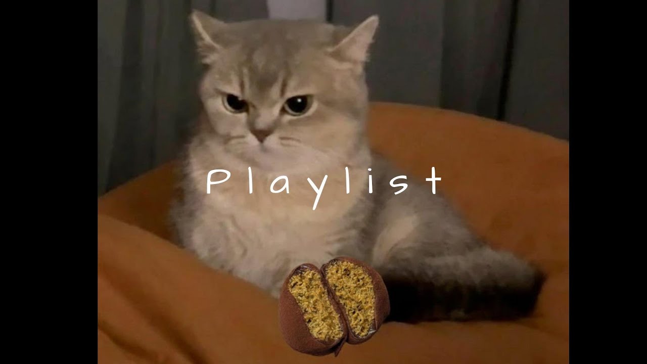 𝐏𝐥𝐚𝐲𝐥𝐢𝐬𝐭 두쫀쿠 먹고 ‘ㅇㅋ’ 되는 플리 🤍🎧 | chill · r&b