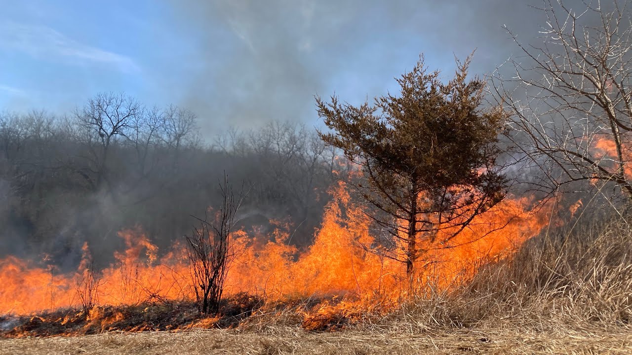 Why do a Prescribed Burn?
