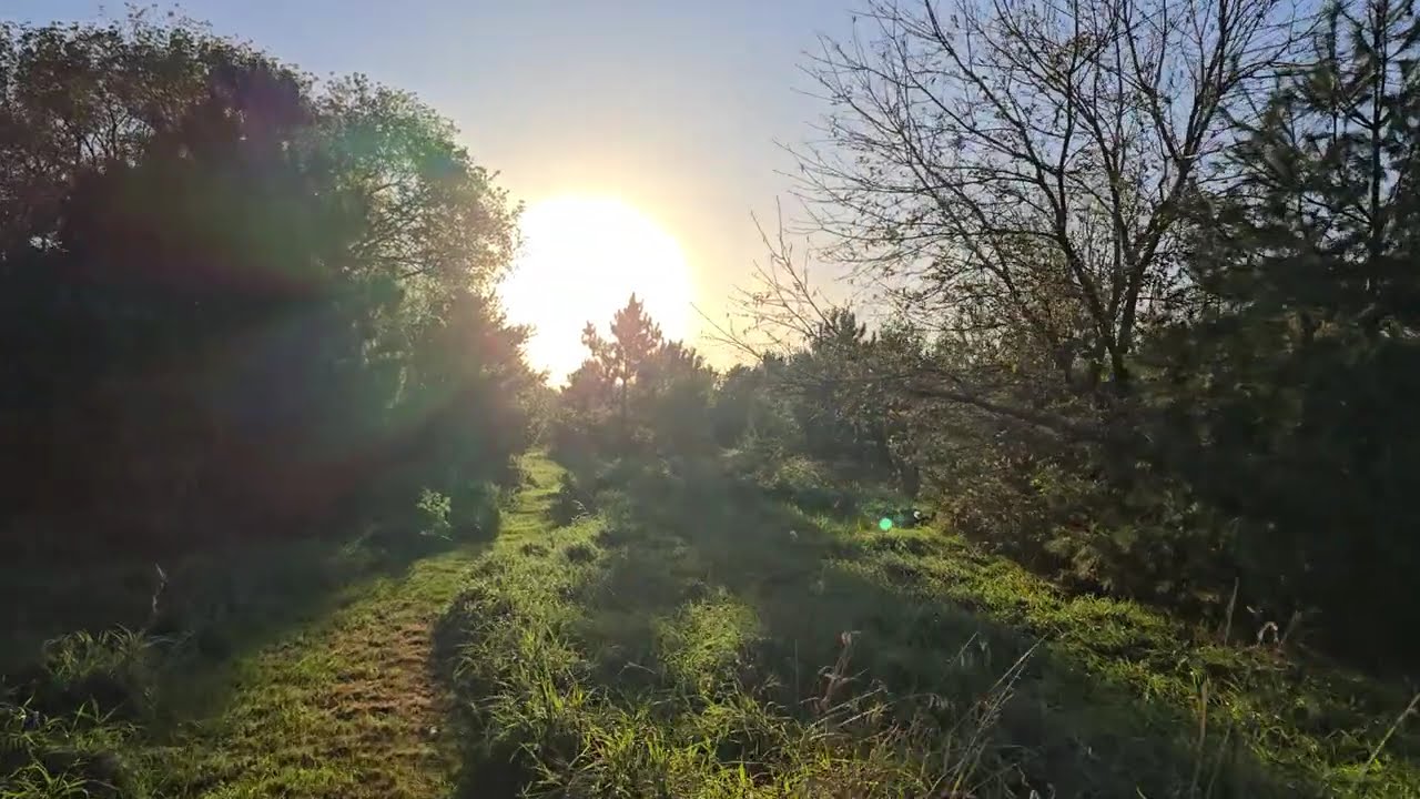 Fraser Lane Walking Trails