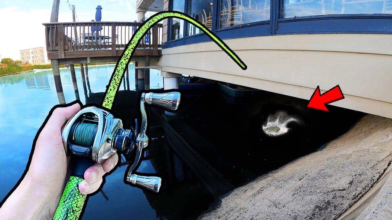 Fishing a Local Pond that's INFESTED with Big Bass (Public Pond Bass Fishing)