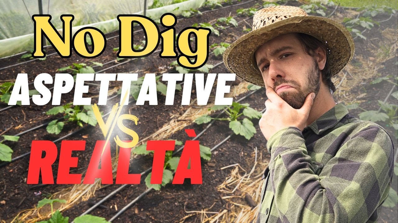 Ho Testato il Metodo No Dig per un Anno Intero: Ecco la Realtà