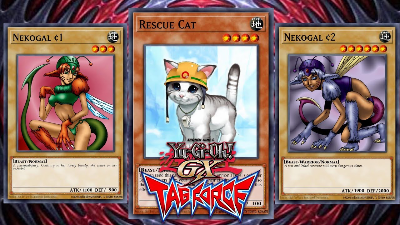 Yu-Gi-Oh GX Tag Force 1 - Deck Nekogal