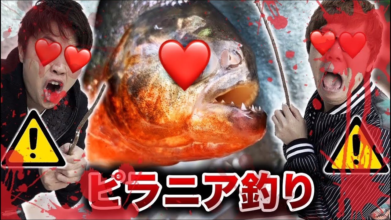 【hikakin_mania】【危険】人肉ピラニア釣りしてみたら面白すぎた。。。【超凶暴】【ヒカマニ】