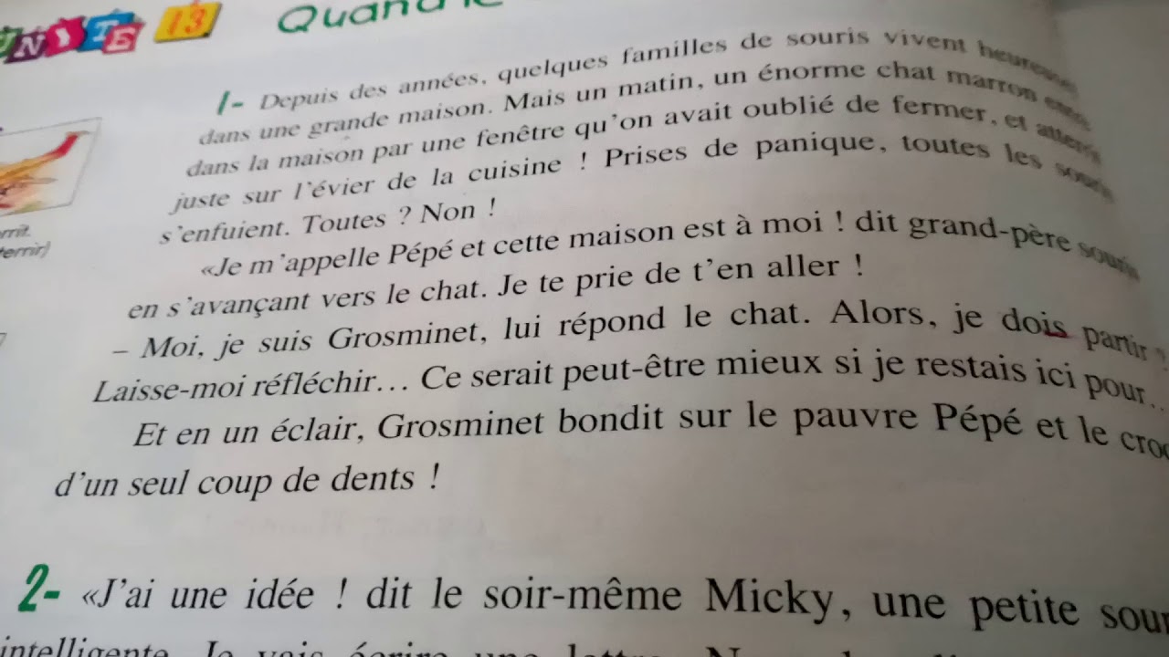 Quand le chat n'est pas là... Lecture CE2 03/05/2020