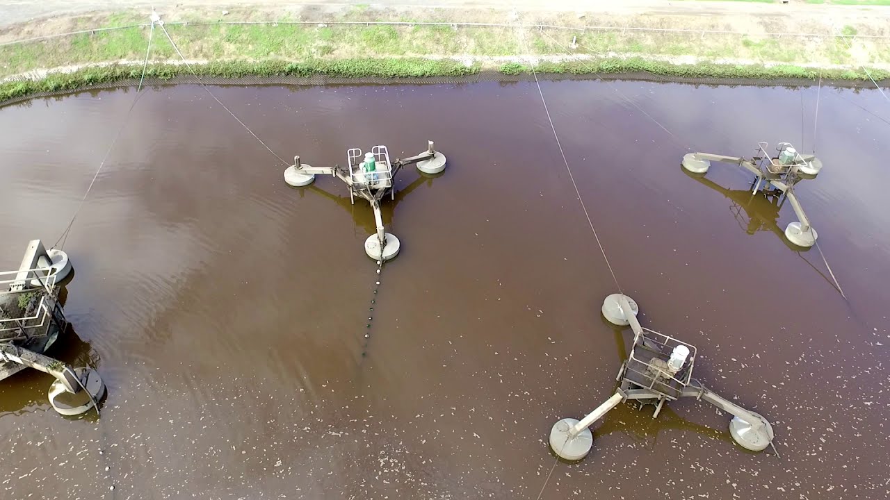 Nitrogen Removal