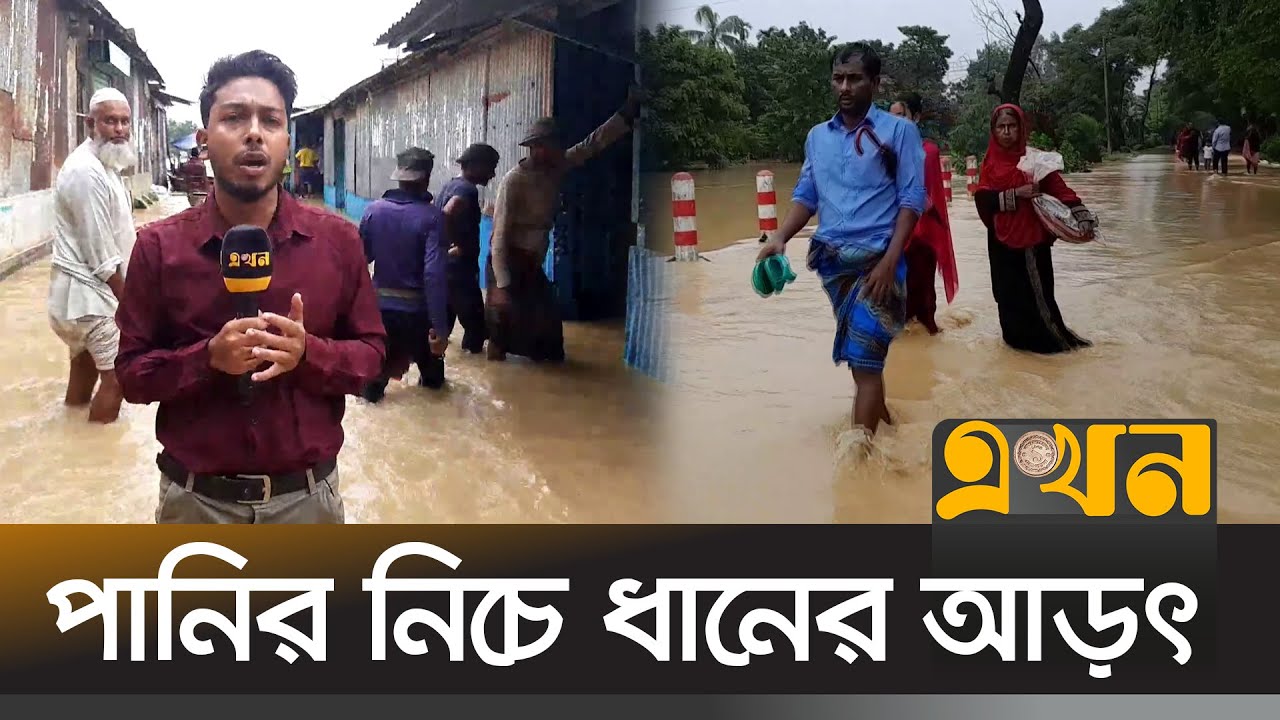 নেত্রকোনায় বন্যা পরিস্থিতি ভয়াবহ! | Flood News | Netrokona | Mymensingh | Sherpur | Ekhon TV