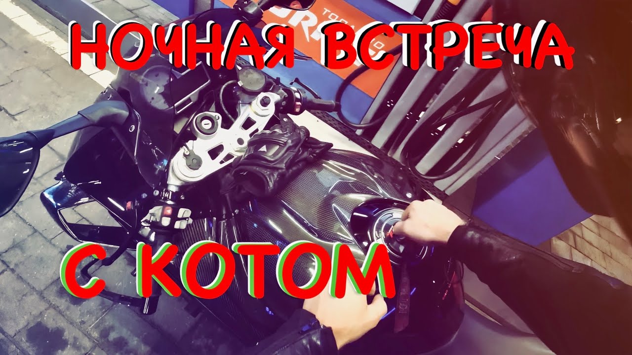 БОРТ ЖУРНАЛ № 138  НАРЕЗКИ , КОТ В НОЧИ