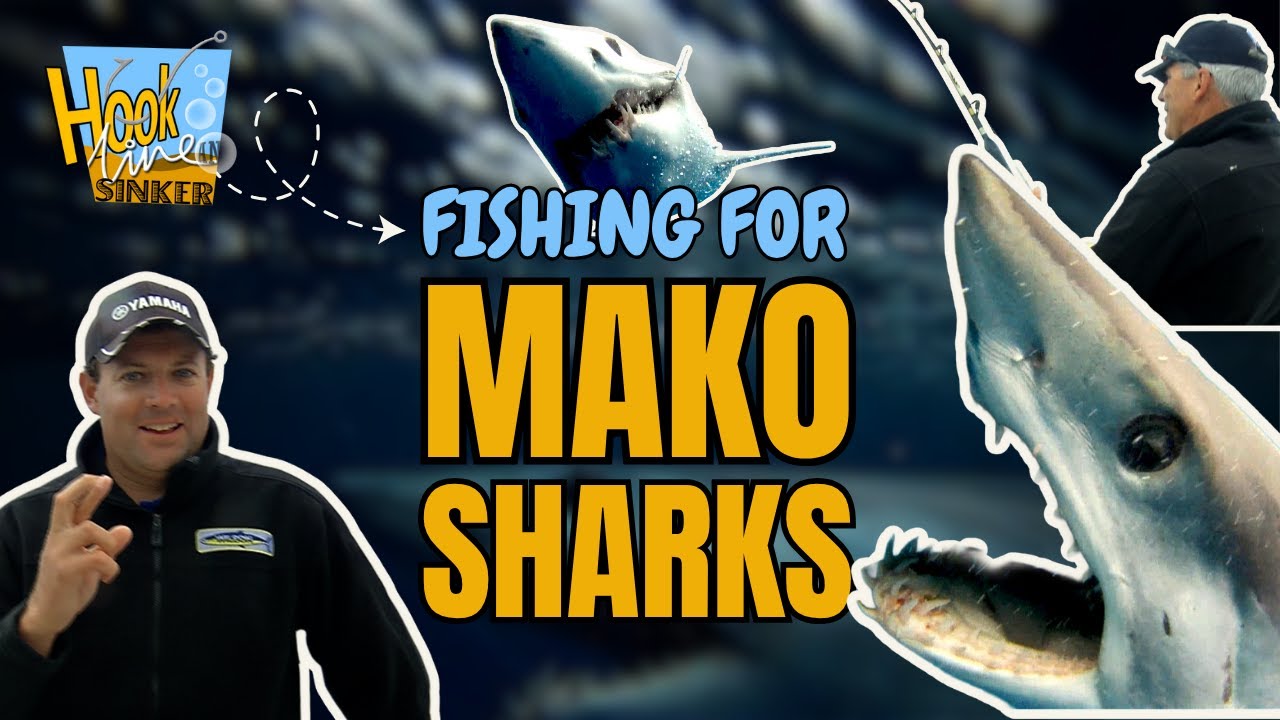 Mako Shark Hunt