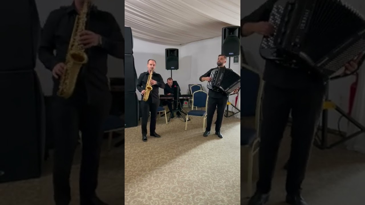 Nelu Iencea  Titel Brestovicean  Răzvan Curtu - Brau 7 ( M&acirc;ndro tinerețe dulce )