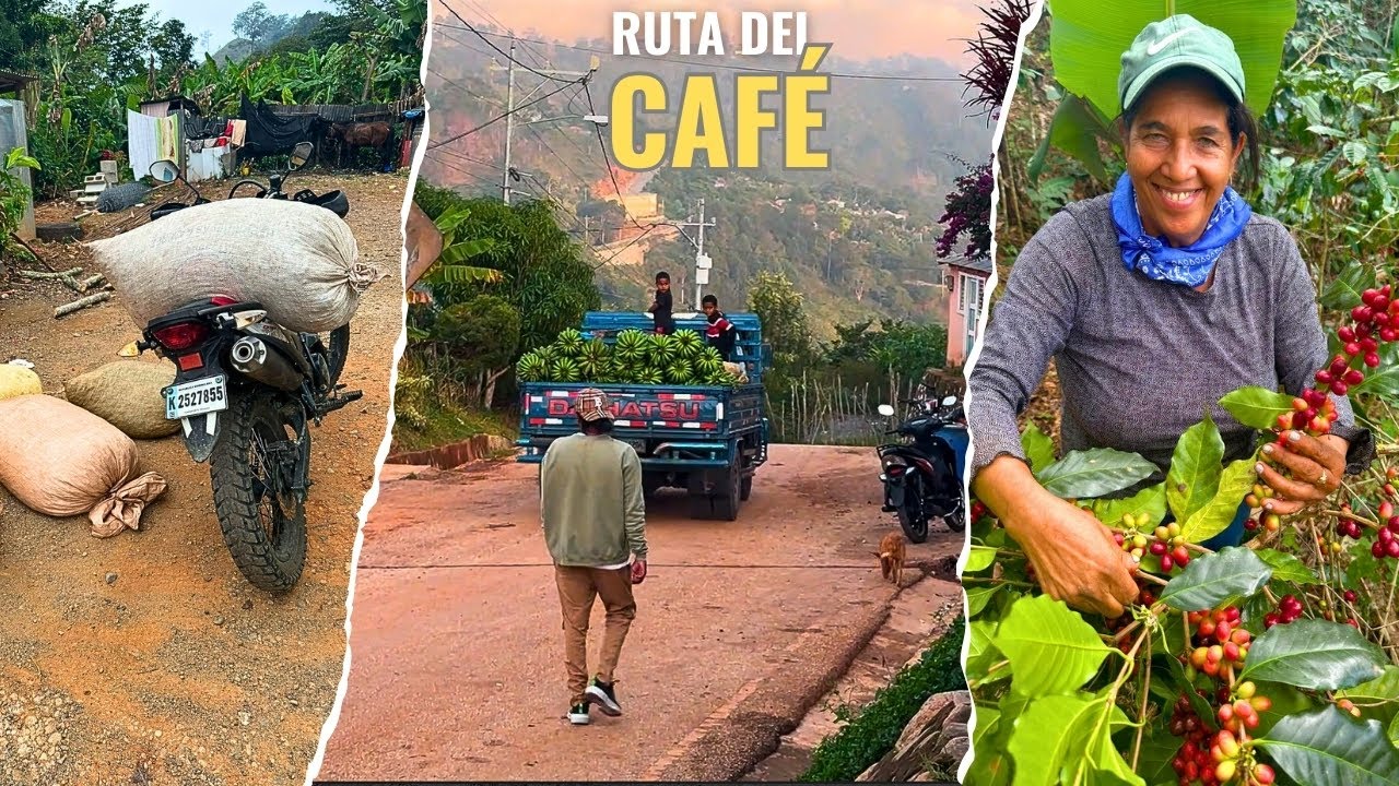 La Ruta del CAF&Eacute; Dominicano En Moto - Cosechando Caf&eacute;
