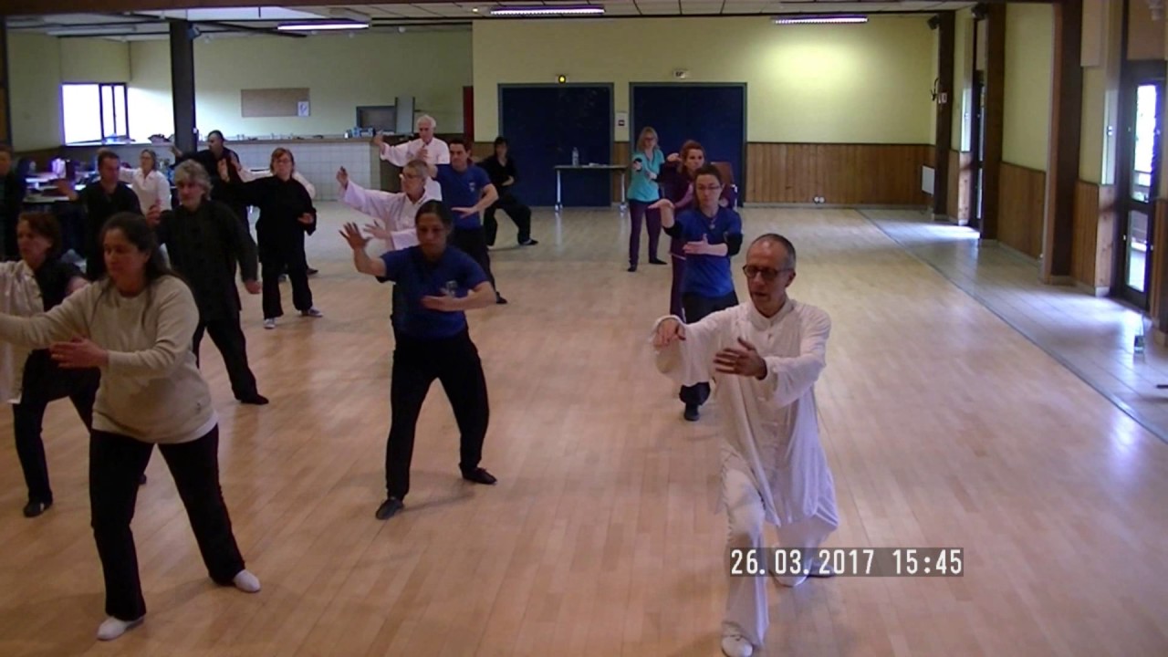 Stage Tai Chi 24 Mvts Bretagne 2017 03 26 1ère entière