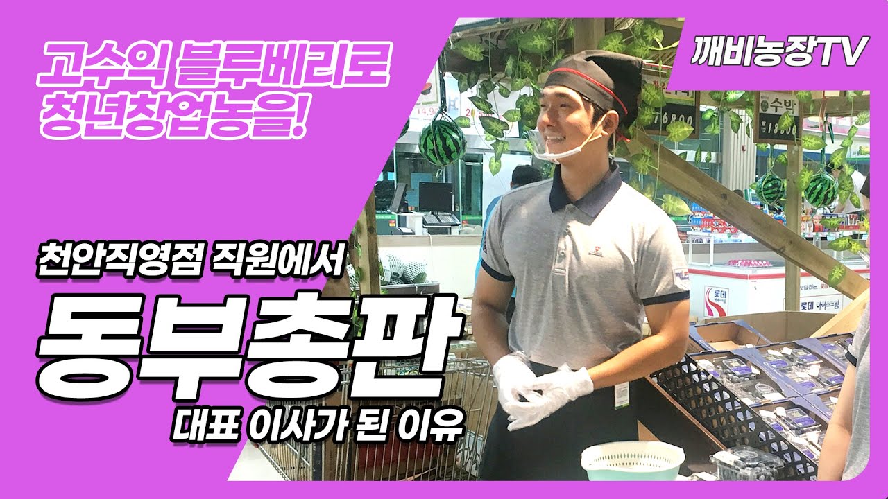 고수익 블루베리로 청년창업농을! 깨비농장 동부총판