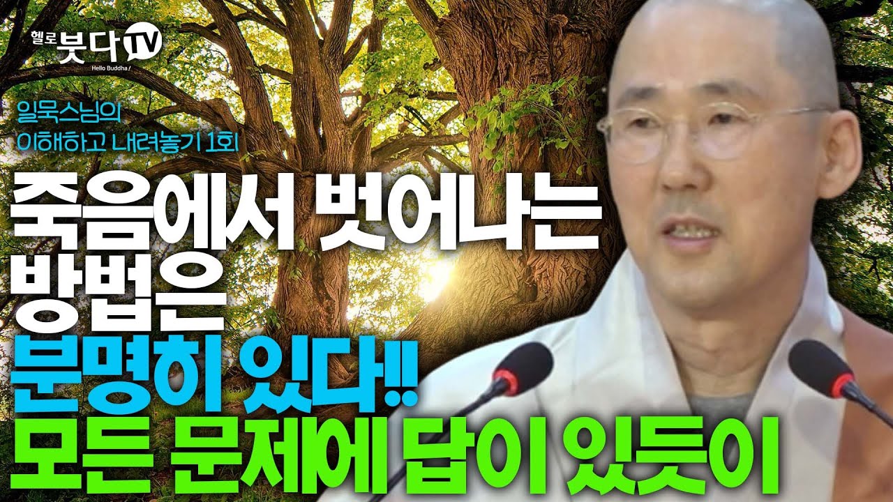 죽음에서 벗어나는 방법은 분명히 있다 모든 문제에 답이 있듯이 | 일묵 스님의 이해하고 내려놓기 1회(1-1) | 진리 죽음 해탈 깨달음 정도 인생 불교 핵심 윤회 사성제 팔정도