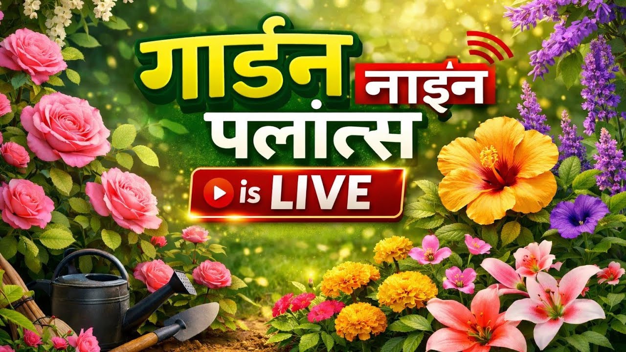 Garden9plants is live #live #shorts #viral