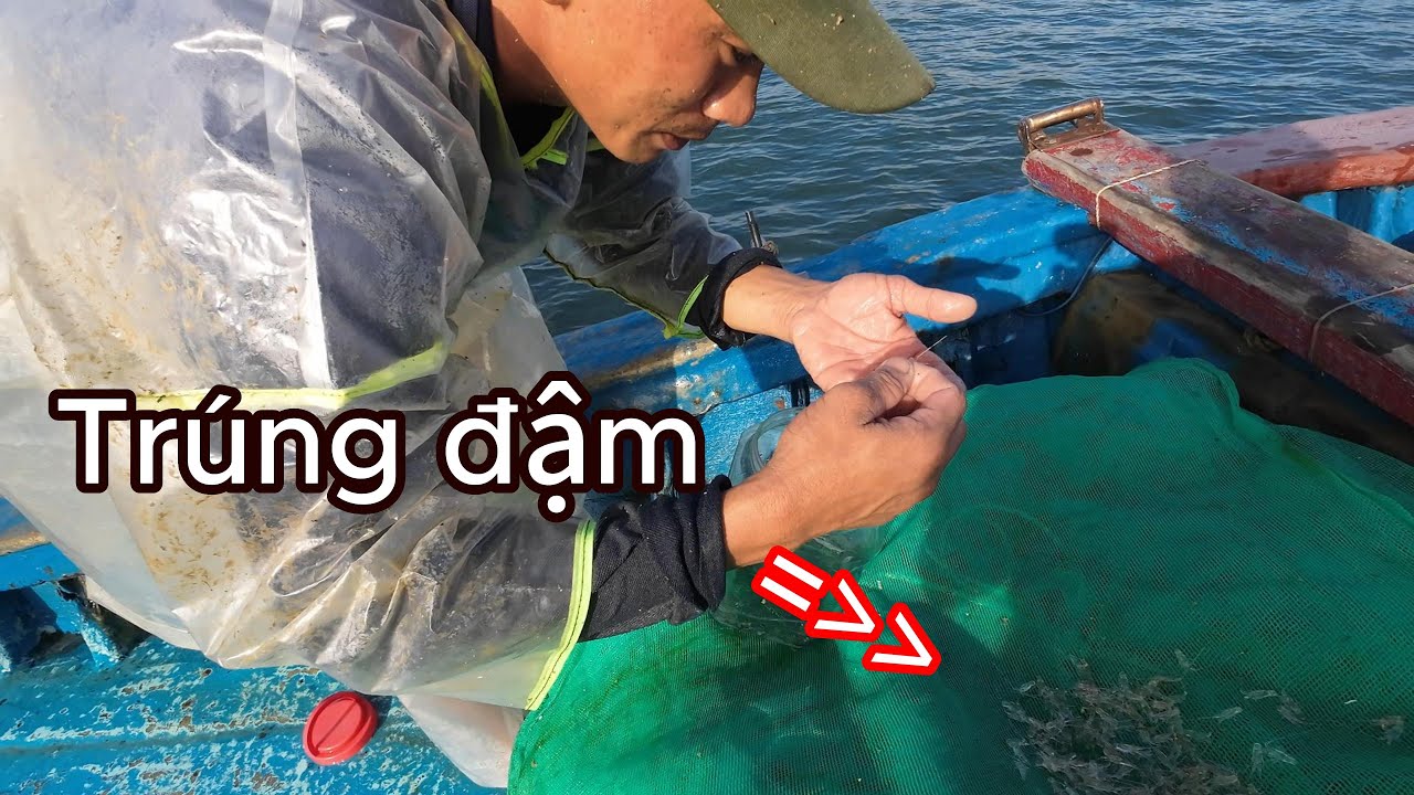 [72] Người Phát Hiện Đầu Tiên (P2)