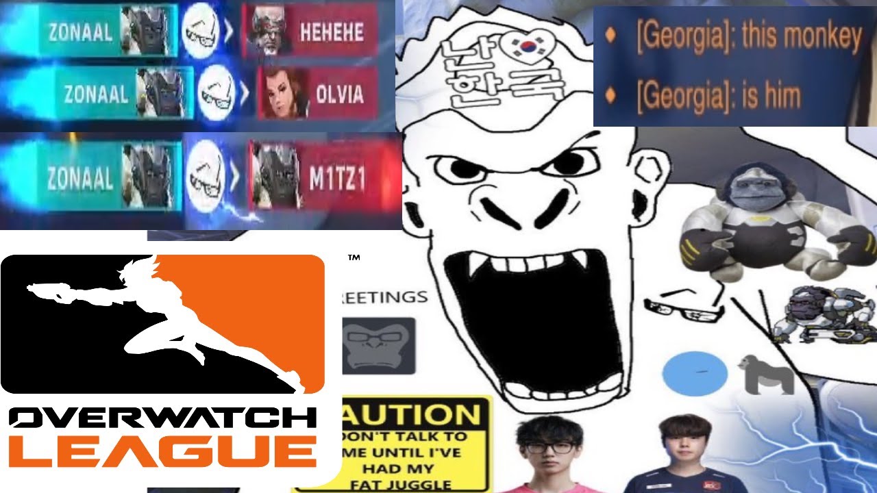 THEY CANT HANDLE MY WINSTON (VS OWL PRO)