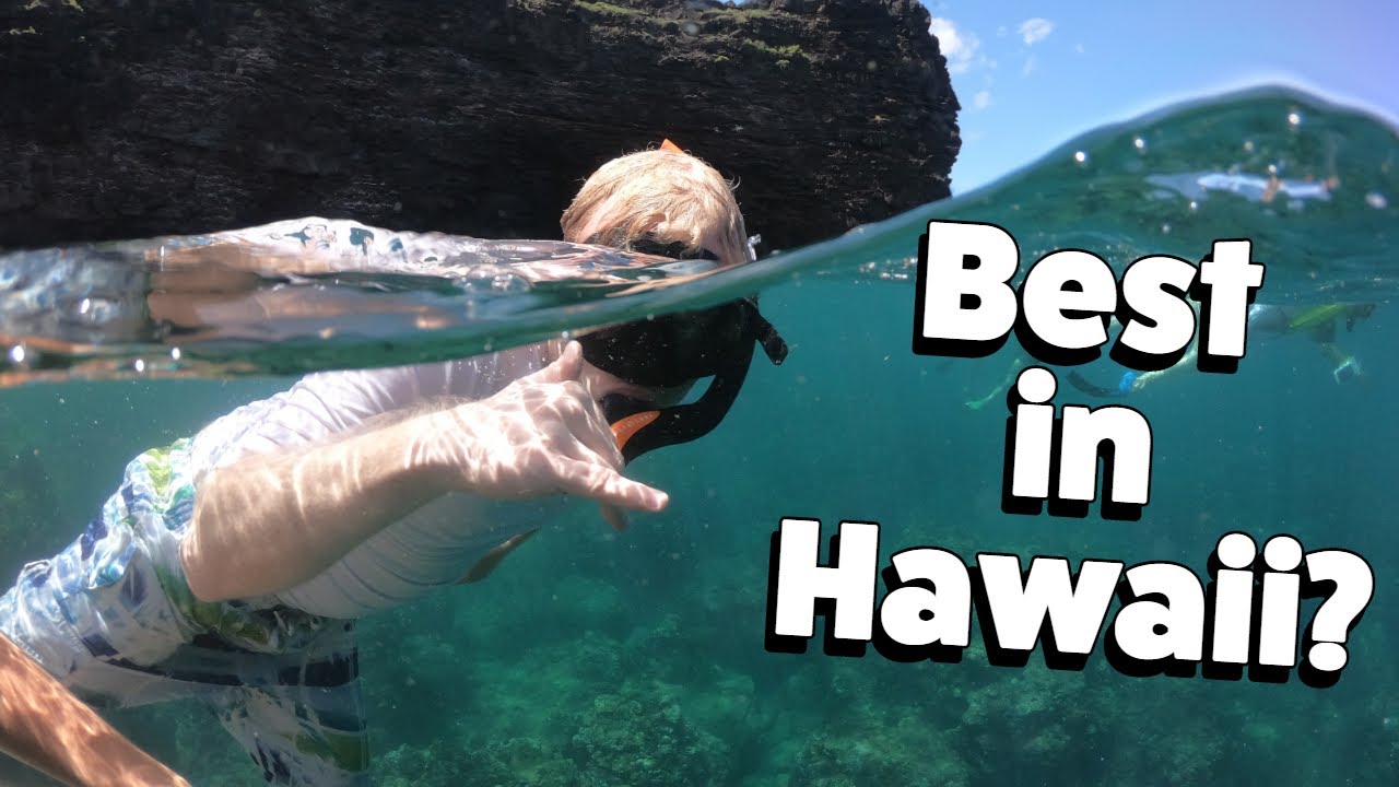 Best Excursion in Hawaii? Capt. Andy's Snorkel BBQ! Na Poli Coast Catamaran tour- Kauai, Hawaii Vlog