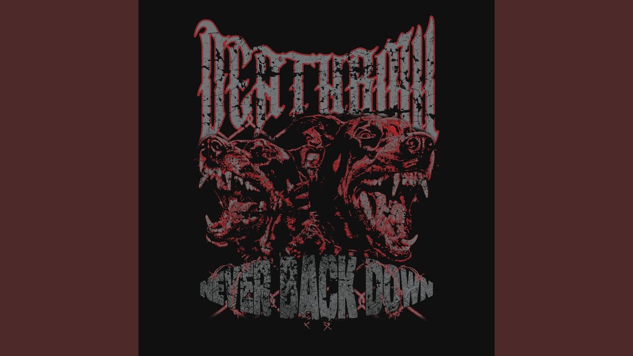 NEVER BACK DOWN