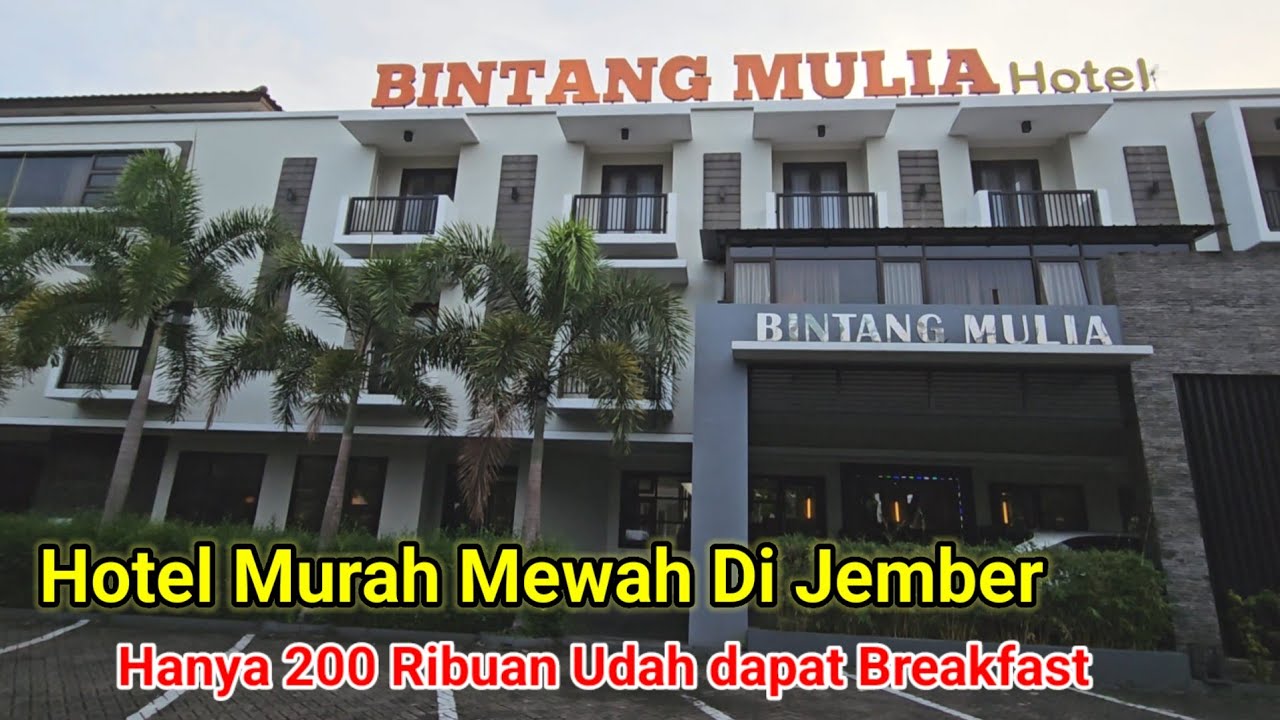 Hotel Murah Dan Mewah Di Jember Hanya 200 Ribuan !! #hotel #hoteljember