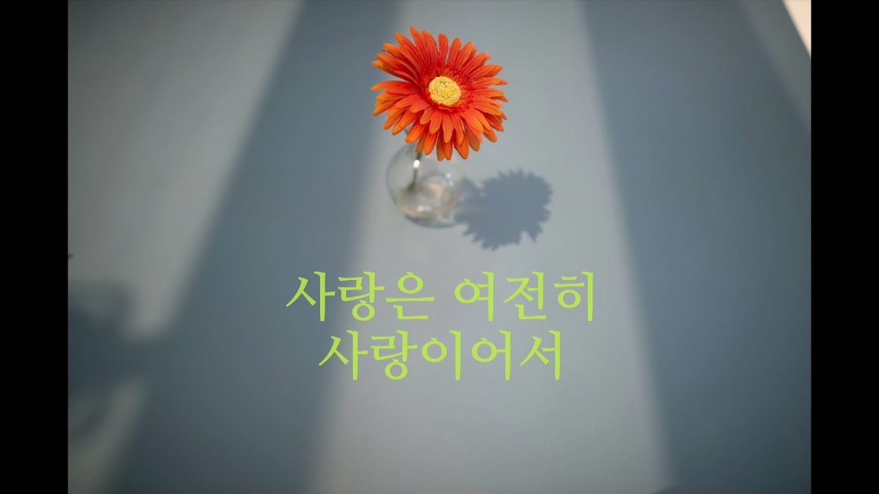 사랑은 여전히 사랑이어서 [일상,위로] 한웅재2집