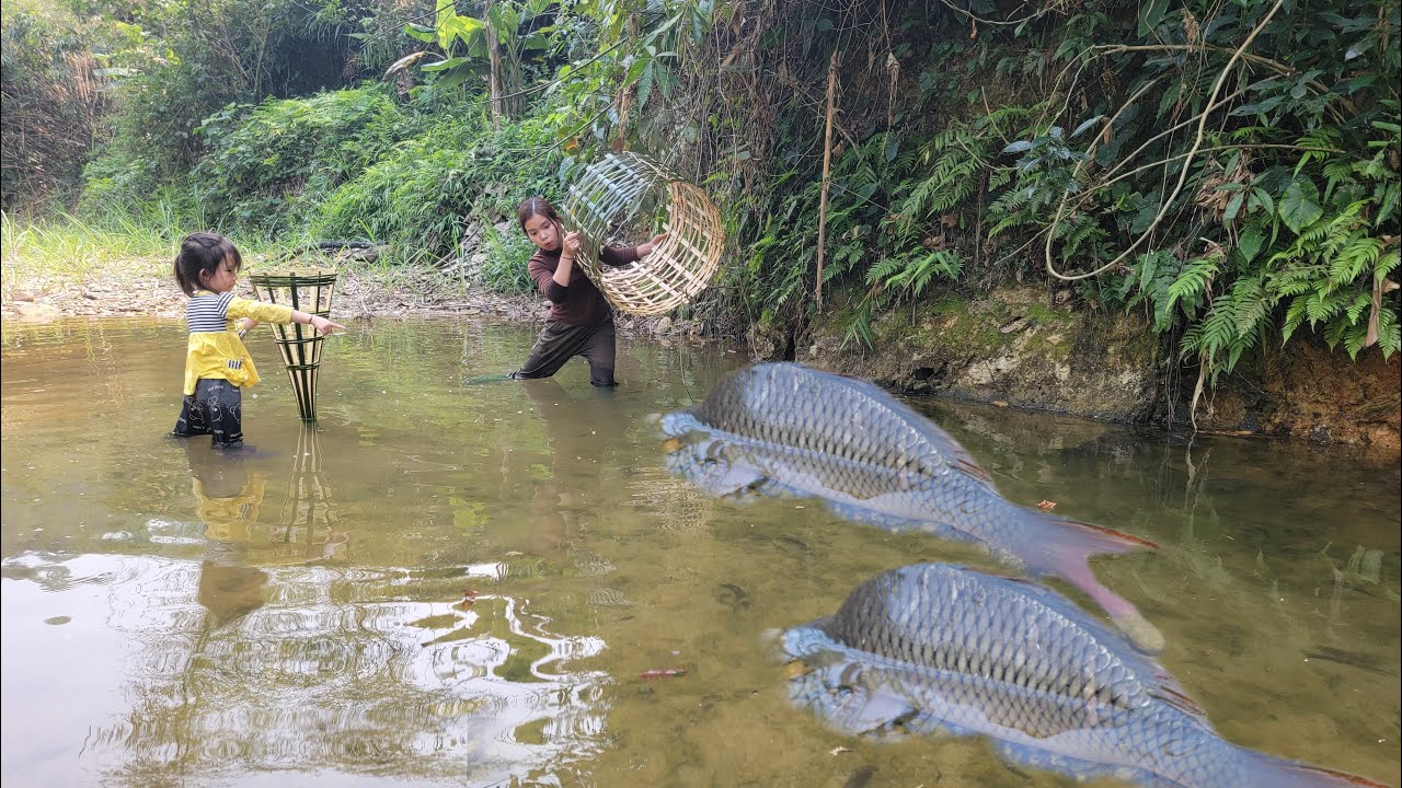 discovered a river with many puddles. The girl meets many giant fish. Fishing skills