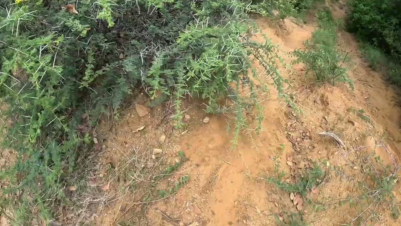 Loerkop4x4 Part1