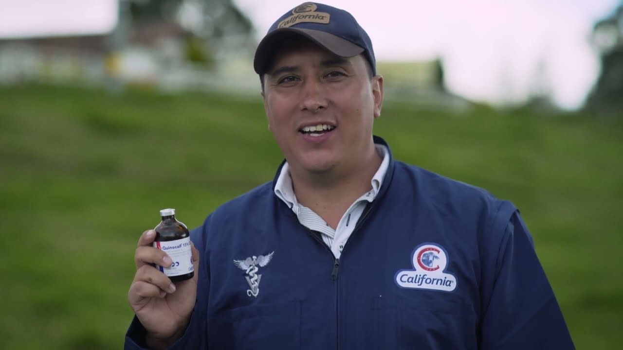 Tratamientos antimicrobianos para la mastitis | Capítulo 2: Salud de la Ubre es Calidad de Leche