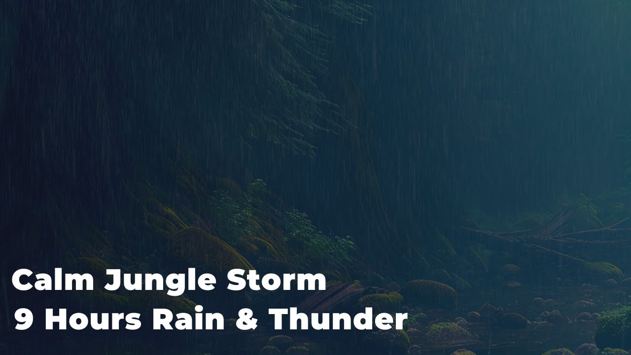 9 Hours Jungle Thunderstorm Sounds for Deep Sleep | Gentle Rain & Soft Thunder | Sleeplyverse