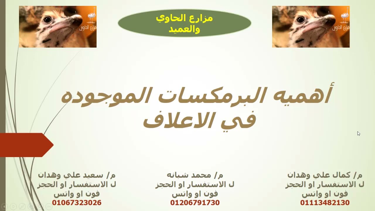 اهميه ومكونات البرمكسات الموجوده في العلف الخاص بالحيوانات والطيور والنعام علي وجه الخصوص
