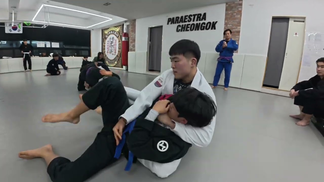 가뿐히 이길수 있다는 블루벨트와 한판했습니다