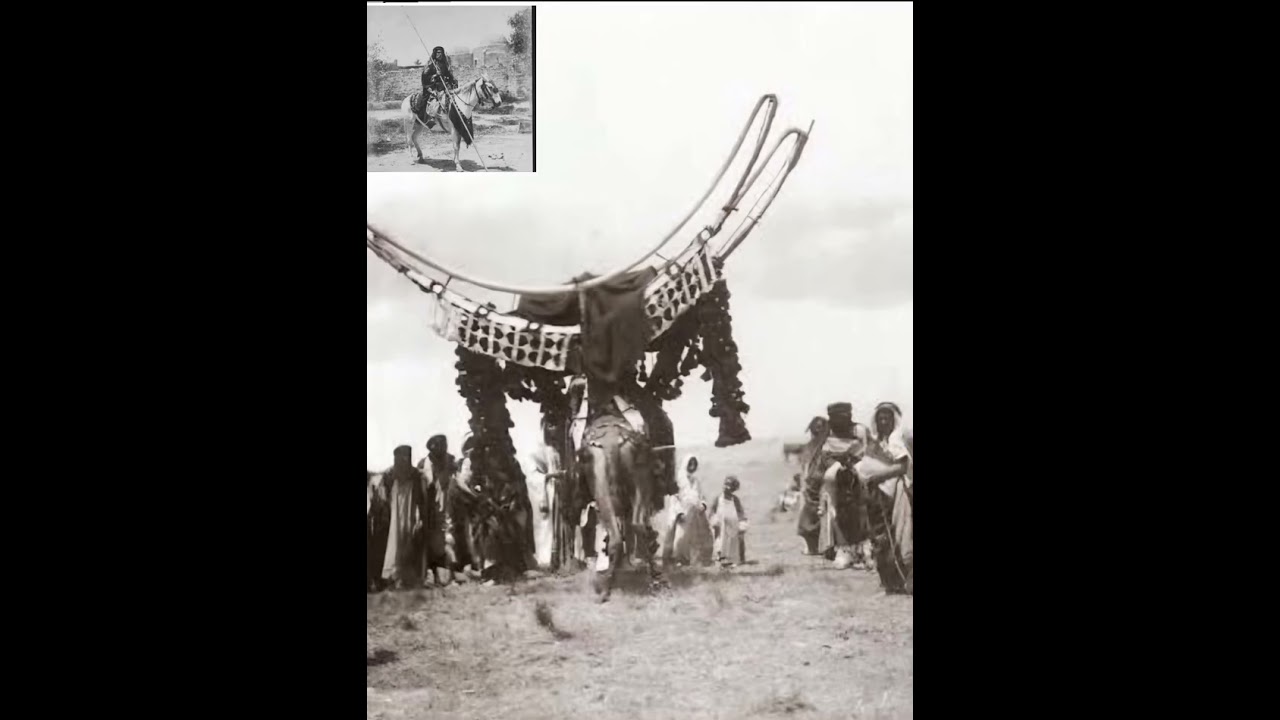 قصة شلفي ذياب ابو زيد الهلالي سلامه والخليفة الزناتي