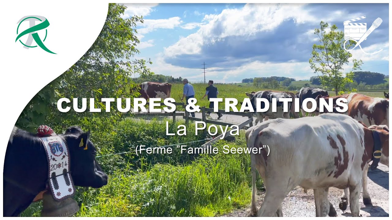 CULTURES & TRADITIONS | La Poya (Ferme ”Famille Seewer”) | # 00031