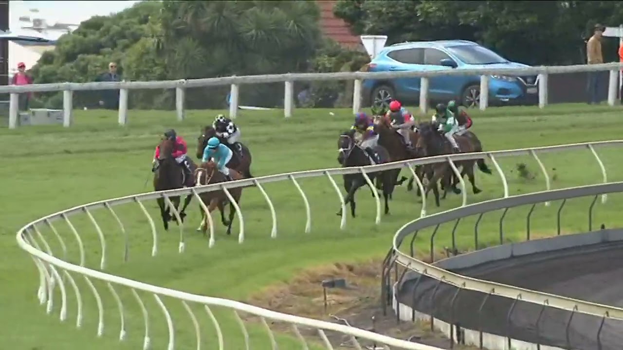 Taranaki Cup 2026 - KNIGHTS REALM (OPN SWP G3) Group 3 New Plymouth NZ 24 January
