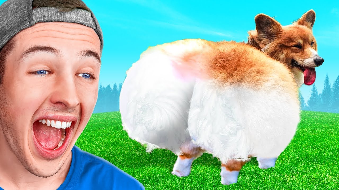 TRY NOT TO LAUGH! (Funniest Animal Moments)