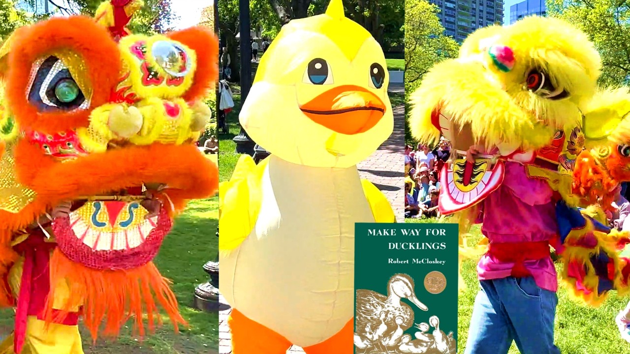 Make Way for Ducklings with Lions 🦆🦁 Public Garden Boston Lion Dance Parade White Crane Event