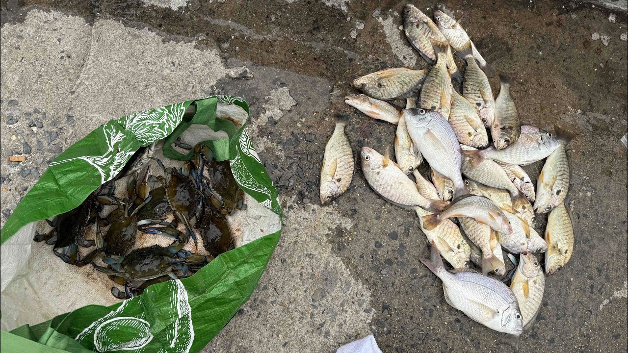 Blue Crabs, Porgies, Croakers and Spots in Jamaica Bay, NY!! **8-6-2025**