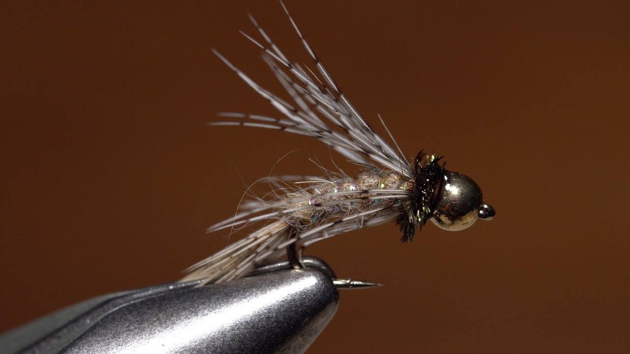 Bird of Prey Caddis