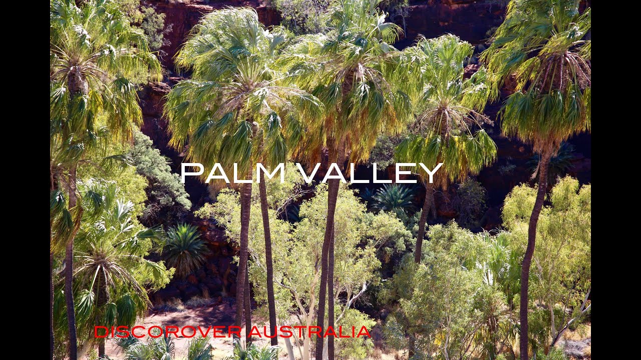 PALM VALLEY