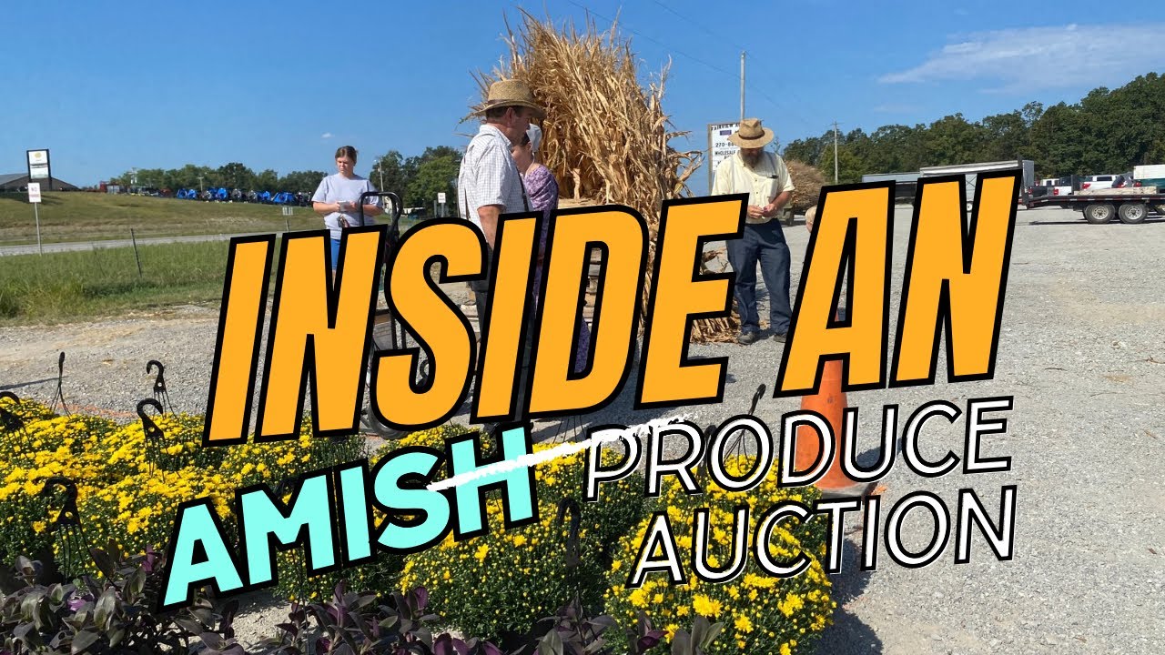 Inside an Amish Produce Auction