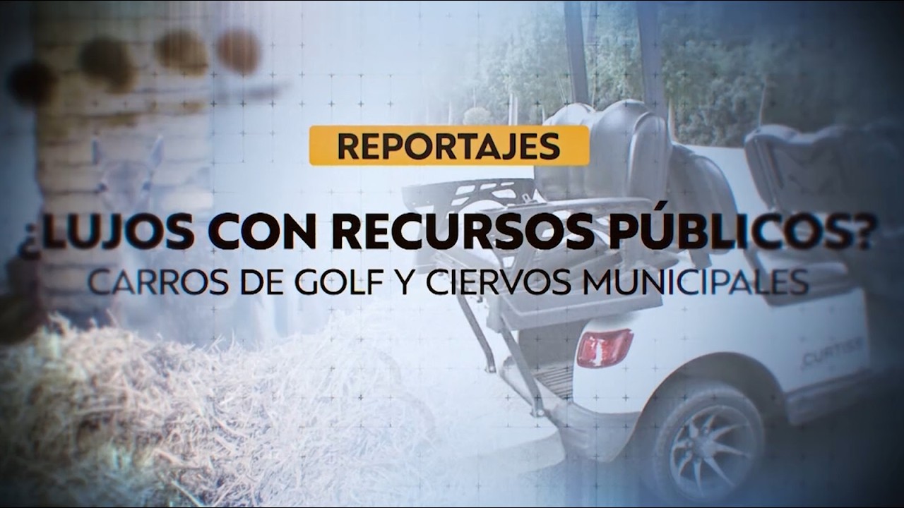 Reportajes T13 | Lujos con recursos p&uacute;blicos: carros de golf y ciervos municipales