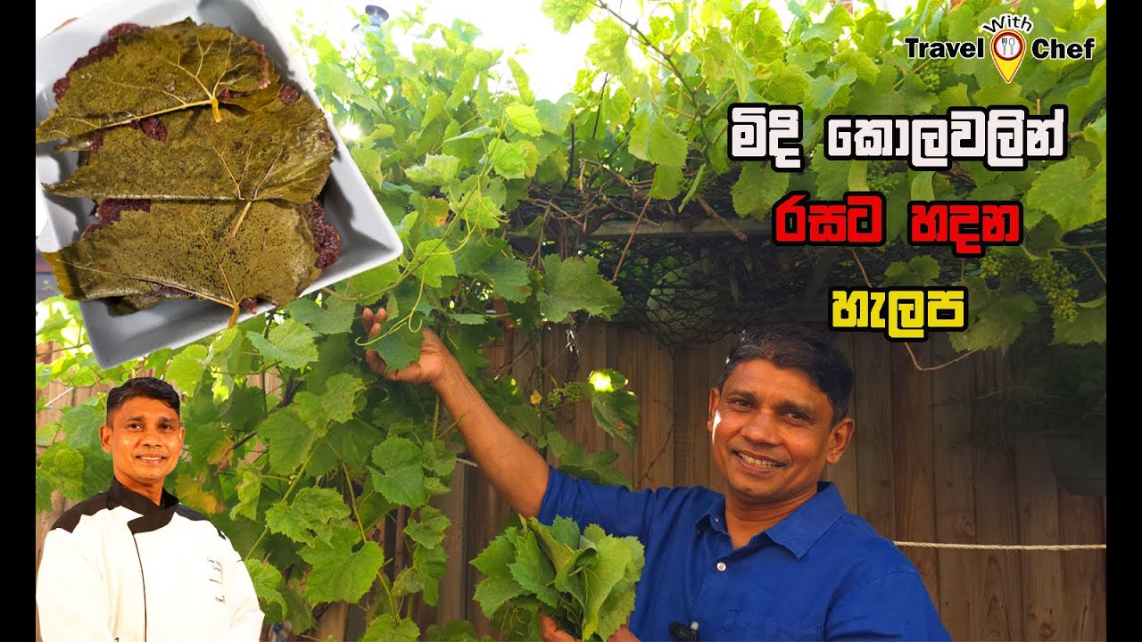 How to make kurakkan halapa/Sri Lankan Chef/cooking tutorial/travel