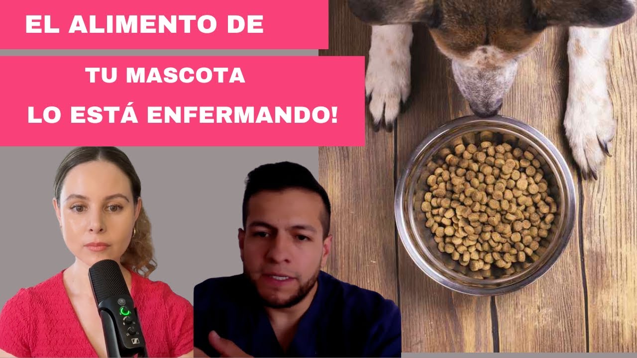 Alimentaci&oacute;n natural en perros y gatos