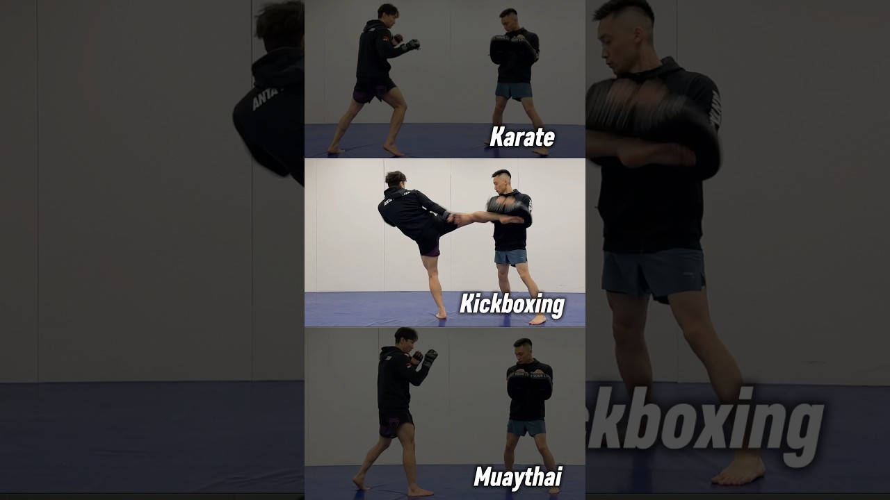 Middle kick breakdown &mdash; Karate 🥋Kickboxing 🥊 Muay Thai 🇹🇭 Which style are you repping?