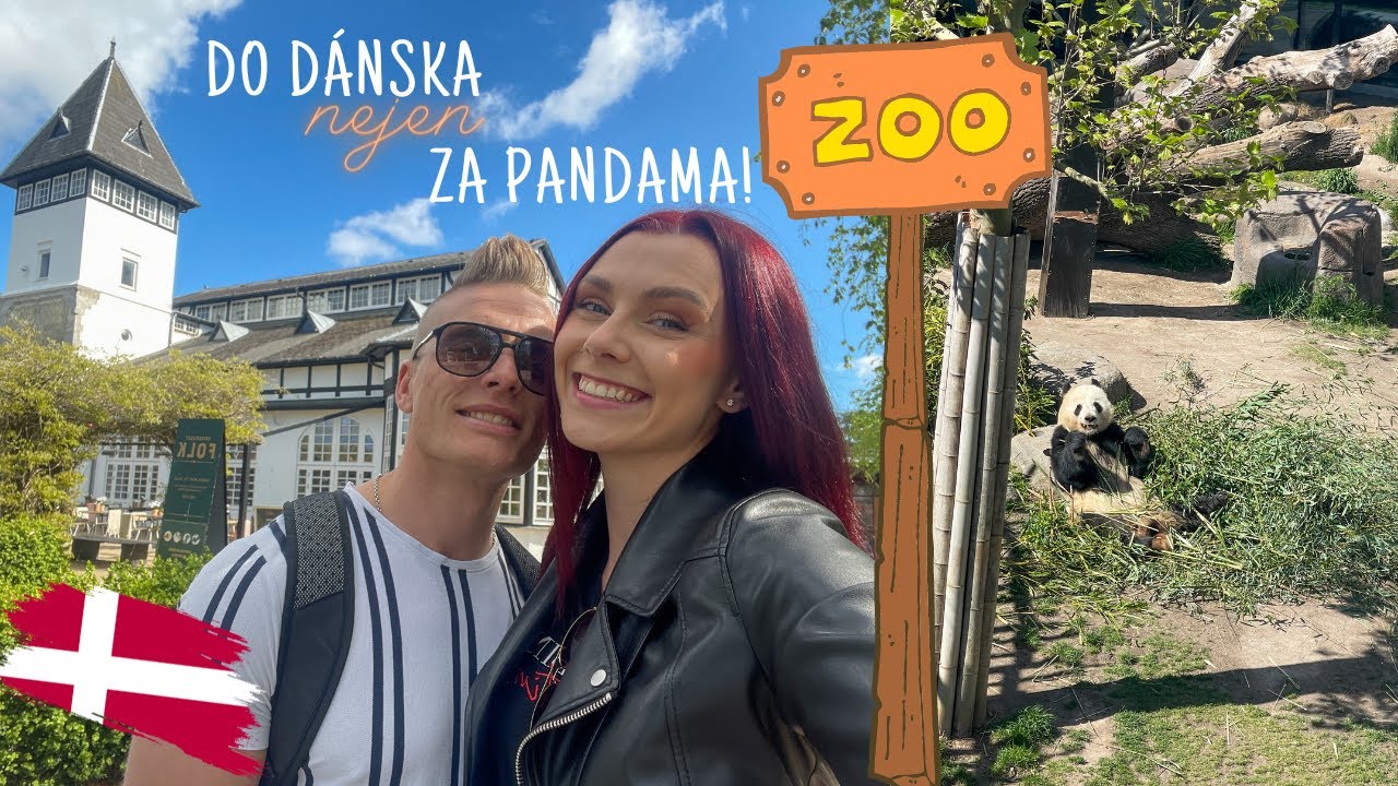 Kolik stojí obědvat s pandou?👀 Výlet do Kodaňské ZOO👟🦘