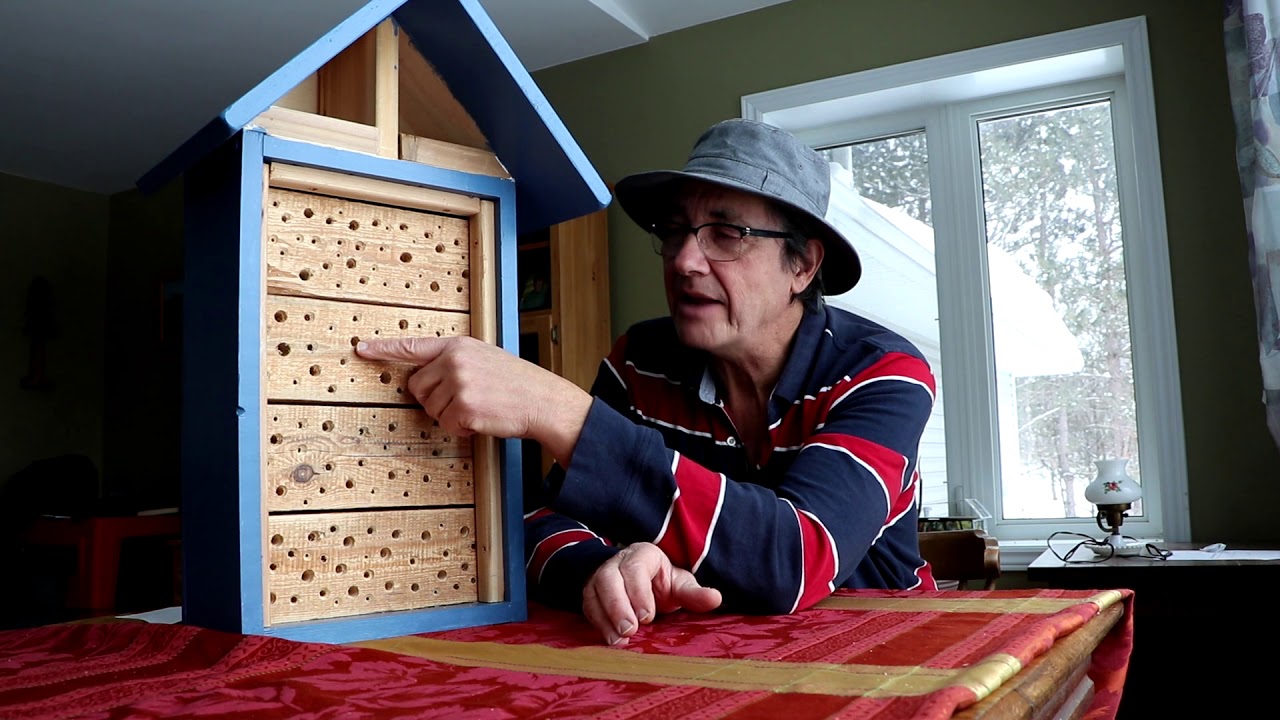 Make a Bee House