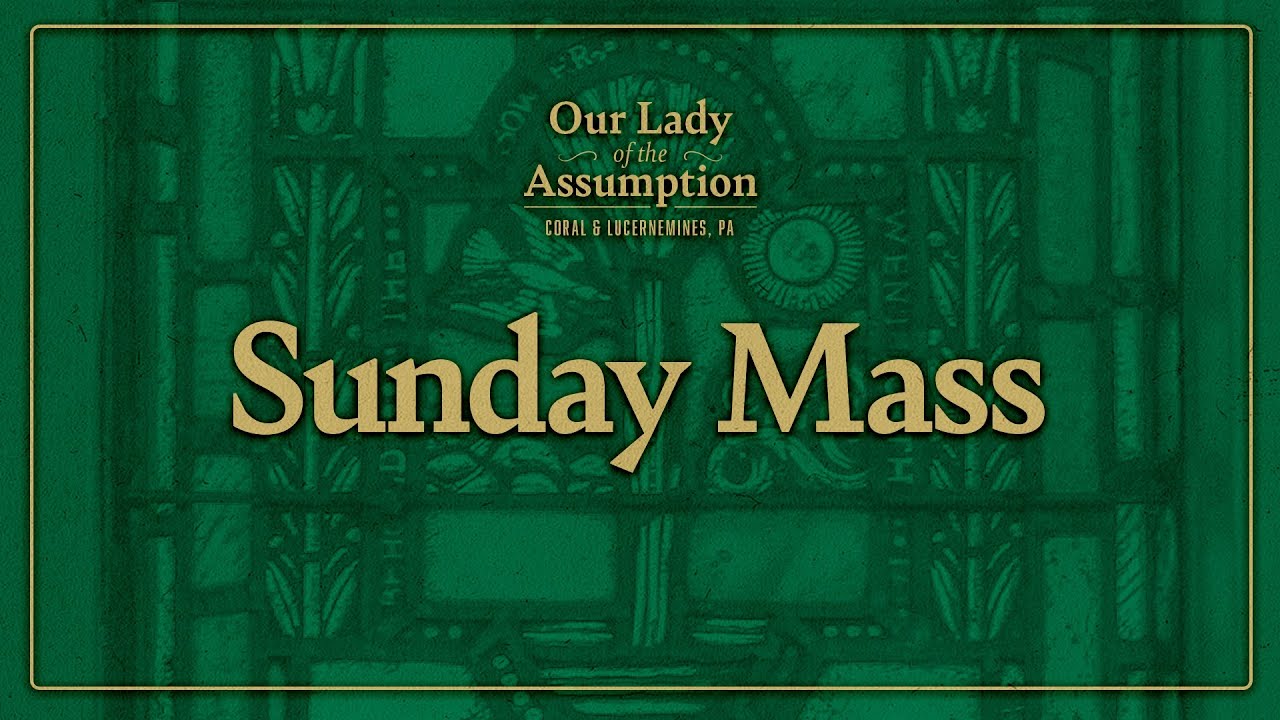 Sunday Mass – February 15, 2026