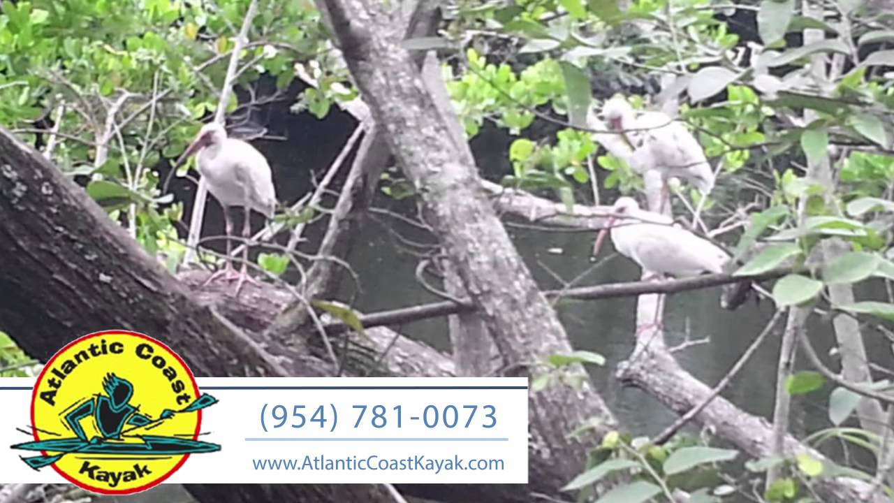 Atlantic Coast Kayak Company | Boating in Wilton Manors